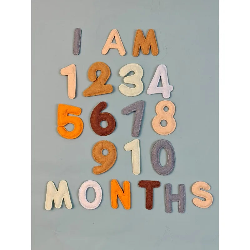 20pcs Baby Monthly Milestone Felt Numbers and Letters